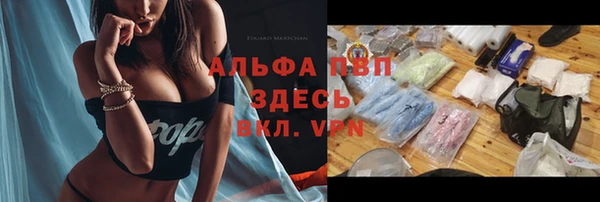 трава Новокубанск