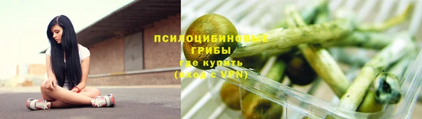 дурь Новозыбков
