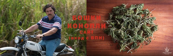 дурь Новозыбков