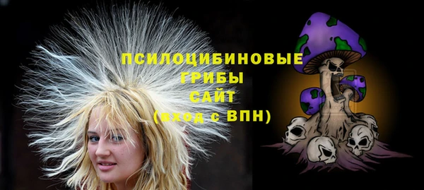 круглые Новодвинск