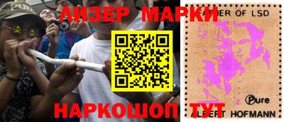 гашик Кандалакша