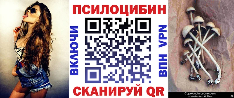 где продают   ОМГ ОМГ вход  Галлюциногенные грибы ЛСД  Новокубанск 