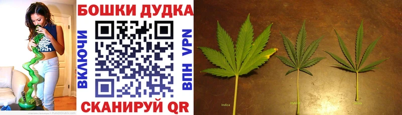 даркнет сайт  Новокубанск  Каннабис THC 21% 
